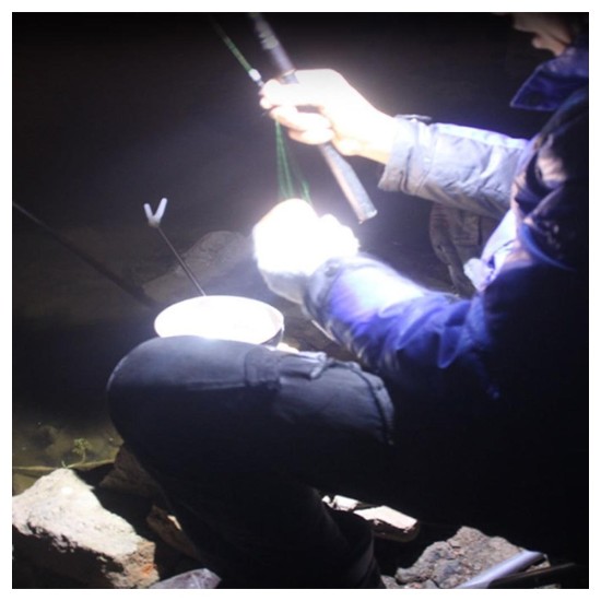 Outdoor Powerful Headlamps Bright LED Headlamps for Outdoor Camping